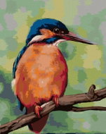 Zuty - Painting by Numbers - The Little Kingfisher (Myroslava Voloschuk), 80X100 Cm, Canvas - Painting by Numbers
