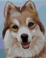 Zuty - Painting by Numbers - Husky (Myroslava Voloschuk), 80X100 Cm, Canvas - Painting by Numbers