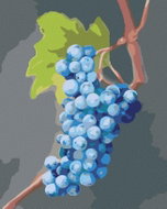 Zuty - Painting by Numbers - Blue Grapes (Myroslava Voloschuk), 40X50 Cm, Canvas+Frame - Painting by Numbers