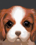 Zuty - Painting by Numbers - Dog - Cavalier King Charles of Spain (Myroslava Voloschuk), 80X100 Cm,  - Painting by Numbers