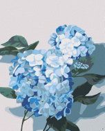 Zuty - Painting by Numbers - Hydrangea 2 (Myroslava Voloschuk), 40X50 Cm, Canvas+Frame - Painting by Numbers