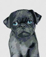 Zuty - Painting by Numbers - Pug (Myroslava Voloschuk), 80X100 Cm, Canvas - Painting by Numbers