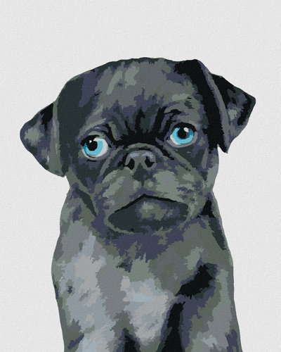 Zuty - Painting by Numbers - Pug (Myroslava Voloschuk), 40X50 Cm, Canvas+Frame - Painting by Numbers - Main image
