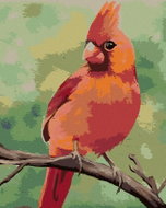 Zuty - Painting by Numbers - Red Bird 2 (Myroslava Voloschuk), 80X100 Cm, Canvas - Painting by Numbers
