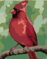 Zuty - Painting by Numbers - Red Bird (Myroslava Voloschuk), 80X100 Cm, Canvas+Frame - Painting by Numbers