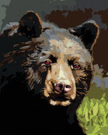 Zuty - Painting by Numbers - Portrait of Bear (D. Rusty Rust), 80X100 Cm, Canvas+Frame - Painting by Numbers