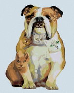 Zuty - Painting by Numbers - English Bulldog And Cats (D. Rusty Rust), 80X100 Cm, Canvas - Painting by Numbers