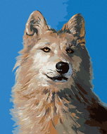Zuty - Painting by Numbers - Wolf Portrait I (D. Rusty Rust), 80X100 Cm, Canvas+Frame - Painting by Numbers