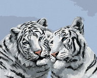Zuty - Painting By Numbers - White Tiger Portrait (D. Rusty Rust), 40X50 Cm, Canvas - Painting by Numbers