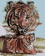 Zuty - Painting by Numbers - Tiger And Tree (D. Rusty Rust), 80X100 Cm, Canvas+Frame - Painting by Numbers