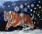 Zuty - Painting by Numbers - Tiger And Snowflakes (D. Rusty Rust), 80X100 Cm, Canvas+Frame - Painting by Numbers