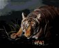 Zuty - Painting by Numbers - Tiger Lurking in the Dark (D. Rusty Rust), 80X100 Cm, Canvas+Frame - Painting by Numbers