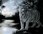 Zuty - Painting by Numbers - White Tiger and River (D. Rusty Rust), 80X100 Cm, Canvas+Frame - Painting by Numbers