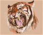 Zuty - Painting by Numbers - Roaring Tiger Portrait (D. Rusty Rust), 80X100 Cm, Canvas+Frame - Painting by Numbers