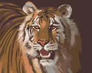 Zuty - Painting by Numbers - Tiger Portrait (D. Rusty Rust), 40X50 Cm, Canvas+Frame - Painting by Numbers