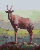 Zuty - Painting By Numbers - Antelope In The Grass (D. Rusty Rust), 40X50 Cm, Canvas+Frame - Painting by Numbers