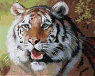 Zuty - Painting by Numbers - Tiger With Open Mouth Portrait (D. Rusty Rust), 80X100 Cm, Canvas+Frame - Painting by Numbers