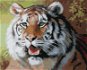 Zuty – Maľovanie podľa čísel – Tiger s otvorenou tlamou portrét (D. Rusty Rust), 80 × 100 cm, plátno + rám - Maľovanie podľa čísel