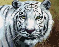 Zuty - Painting By Numbers - White Tiger View Portrait (D. Rusty Rust), 40X50 Cm, Canvas - Painting by Numbers