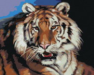 Zuty - Painting by Numbers - Tiger Portrait (D. Rusty Rust), 40X50 Cm, Canvas+Frame - Painting by Numbers