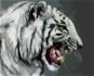 Zuty – Maľovanie podľa čísel – Revúci biely tiger portrét (D. Rusty Rust), 80 × 100 cm, plátno + rám - Maľovanie podľa čísel
