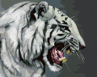 Zuty - Painting By Numbers - Roaring White Tiger Portrait (D. Rusty Rust), 40X50 Cm, Canvas+Frame - Painting by Numbers