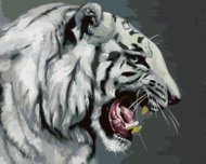 Zuty - Painting By Numbers - Roaring White Tiger Portrait (D. Rusty Rust), 40X50 Cm, Canvas - Painting by Numbers