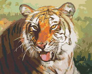Zuty - Painting by Numbers - Resting Tiger Portrait (D. Rusty Rust), 40X50 Cm, Canvas+Frame - Painting by Numbers