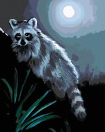 Zuty - Painting by Numbers - Raccoon in the Night and Full Moon (D. Rusty Rust), 40X50 Cm, Canvas+Fr - Painting by Numbers