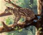 Zuty - Painting by Numbers - Ocelot Sitting on a Branch (D. Rusty Rust), 80X100 Cm, Canvas+Frame - Painting by Numbers