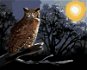 Zuty - Painting by Numbers - Owl Sitting on a Branch at Night (D. Rusty Rust), 80X100 Cm, Canvas+Fra - Painting by Numbers