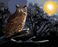 Zuty - Painting By Numbers - Owl Sitting On A Branch At Night (D. Rusty Rust), 40X50 Cm, Canvas - Painting by Numbers