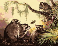 Zuty - Painting by Numbers - Raccoon And Butterfly (D. Rusty Rust), 40X50 Cm, Canvas+Frame - Painting by Numbers
