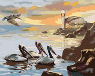 Zuty - Painting By Numbers - Pelican And The Sea (D. Rusty Rust), 40X50 Cm, Canvas+Frame - Painting by Numbers