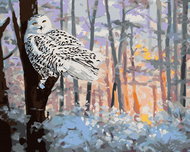 Zuty - Painting By Numbers - Snowy Owl In The Forest (D. Rusty Rust), 80X100 Cm, Canvas - Painting by Numbers