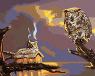 Zuty - Painting by Numbers - Owl And Cottage By Water (D. Rusty Rust), 40X50 Cm, Canvas+Frame - Painting by Numbers