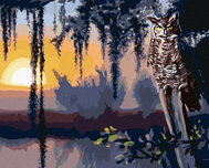 Zuty - Painting by Numbers - Owl And Sunset (D. Rusty Rust), 40X50 Cm, Canvas - Painting by Numbers