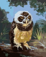 Zuty - Painting by Numbers - Owl Sitting on a Log (D. Rusty Rust), 40X50 Cm, Canvas - Painting by Numbers