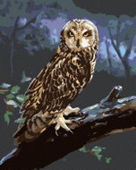 Zuty - Painting by Numbers - Owl on a Log at Night (D. Rusty Rust), 80X100 Cm, Canvas+Frame - Painting by Numbers