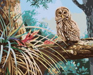 Zuty - Painting By Numbers - Owl In The Forest (D. Rusty Rust), 80X100 Cm, Canvas - Painting by Numbers