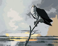 Zuty - Painting By Numbers - Eagle On Branch And Clouds (D. Rusty Rust), 40X50 Cm, Canvas - Painting by Numbers