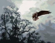 Zuty - Painting By Numbers - Eagle In Flight And Trees (D. Rusty Rust), 80X100 Cm, Canvas - Painting by Numbers