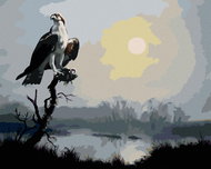 Zuty - Painting By Numbers - Eagle On Branch And Sun (D. Rusty Rust), 40X50 Cm, Canvas - Painting by Numbers