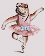 Zuty - Painting by Numbers - English Bulldog And Ballet (D. Rusty Rust), 40X50 Cm, Canvas - Painting by Numbers