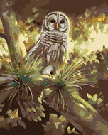 Zuty - Painting by Numbers - Owl on a Tree (D. Rusty Rust), 80X100 Cm, Canvas - Painting by Numbers