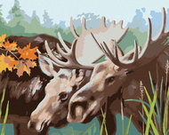 Zuty - Painting by Numbers - Elk Couple (D. Rusty Rust), 40X50 Cm, Canvas+Frame - Painting by Numbers