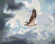 Zuty - Painting by Numbers - Eagle in the Clouds (D. Rusty Rust), 40X50 Cm, Canvas+Frame - Painting by Numbers