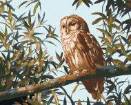 Zuty - Painting By Numbers - Owl On Branch And Leaves (D. Rusty Rust), 80X100 Cm, Canvas - Painting by Numbers