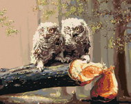 Zuty - Painting by Numbers - Owl Cubs on a Felled Tree (D. Rusty Rust), 40X50 Cm, Canvas - Painting by Numbers