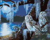 Zuty - Painting by Numbers - Snowy Owl on a Full Moon Night (D. Rusty Rust), 40X50 Cm, Canvas+Frame - Painting by Numbers